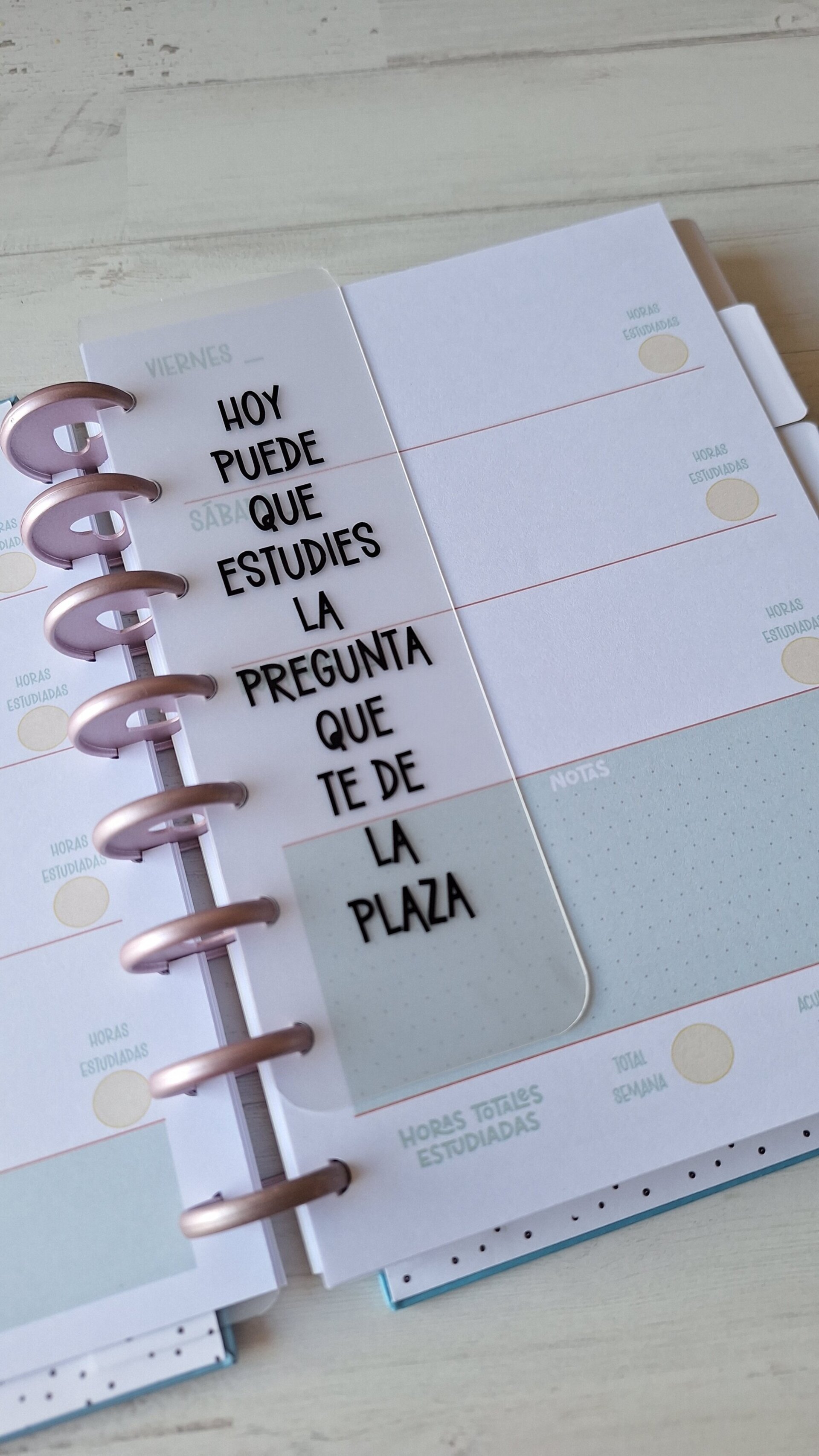 OPOPLANNER - 3