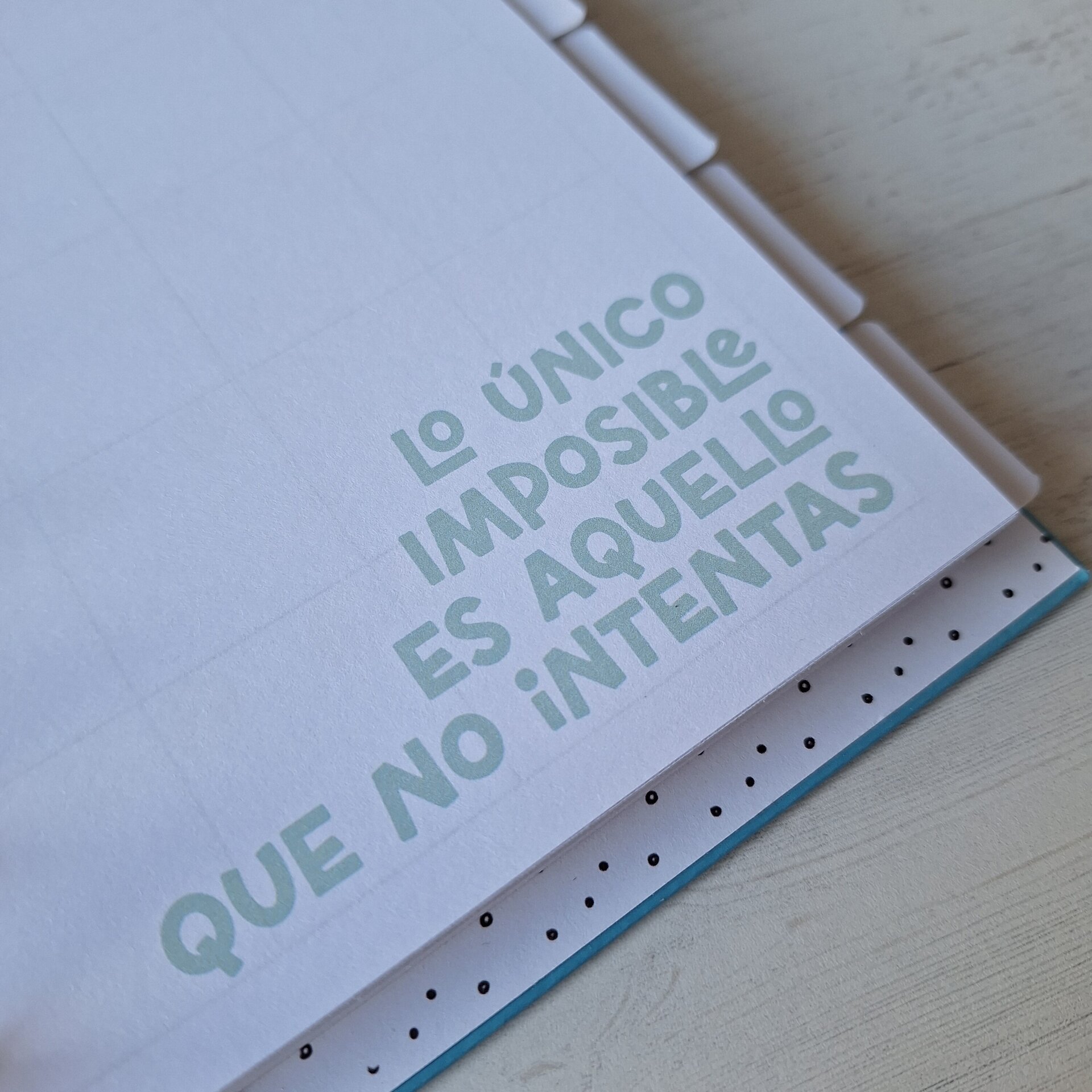 OPOPLANNER - 5