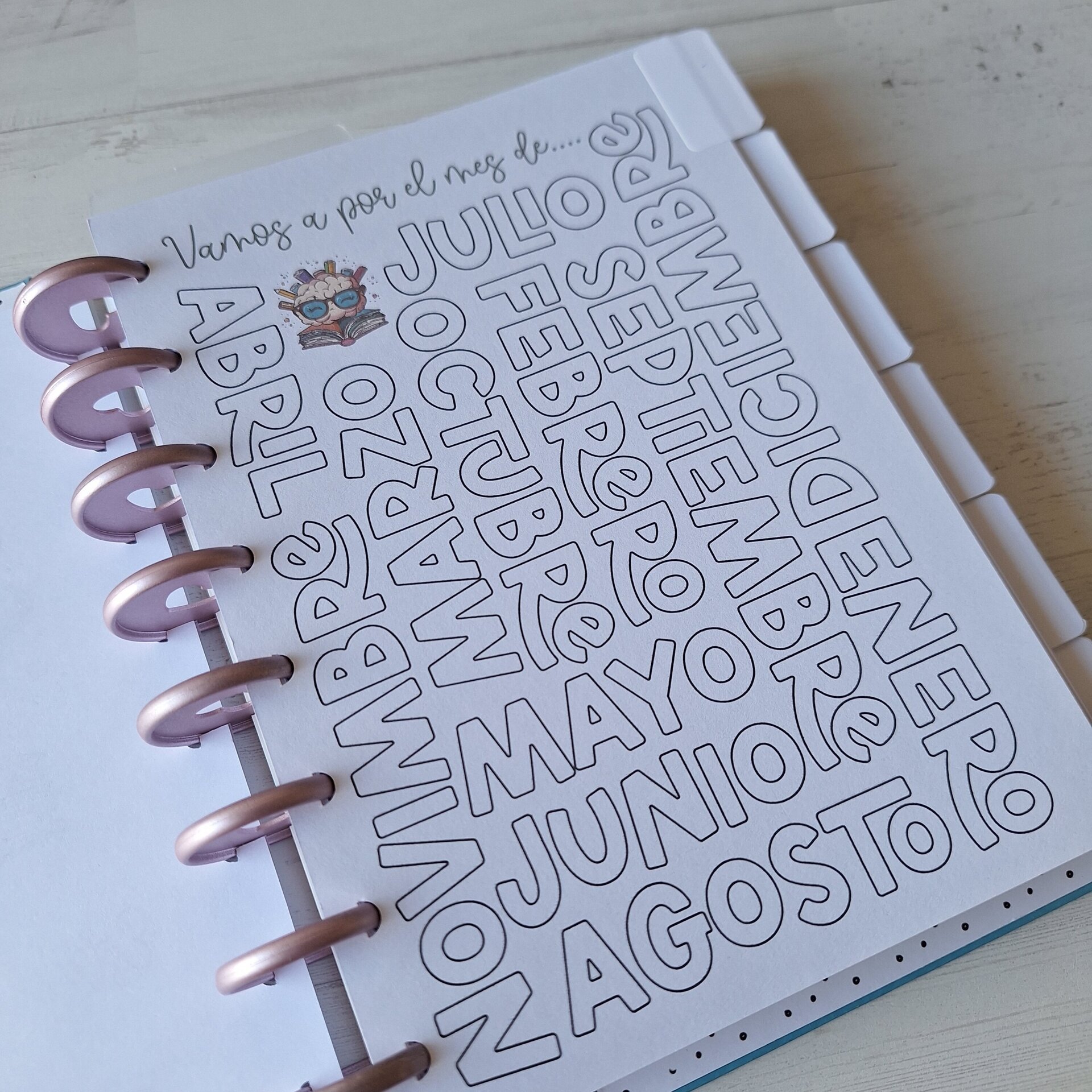 OPOPLANNER - 4