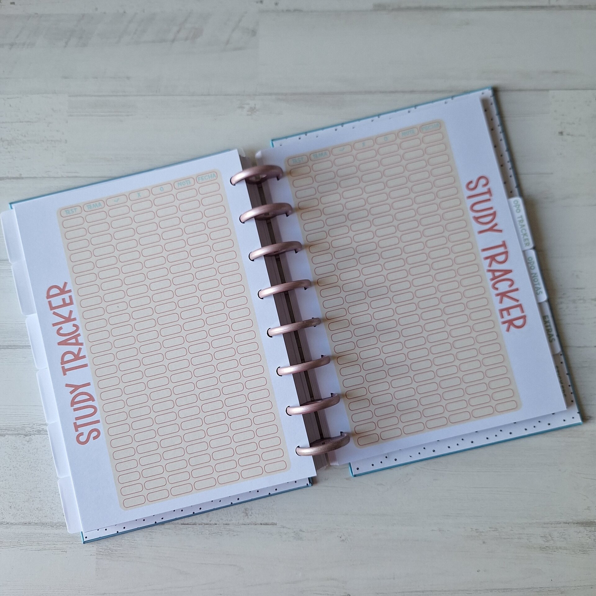 OPOPLANNER - 6